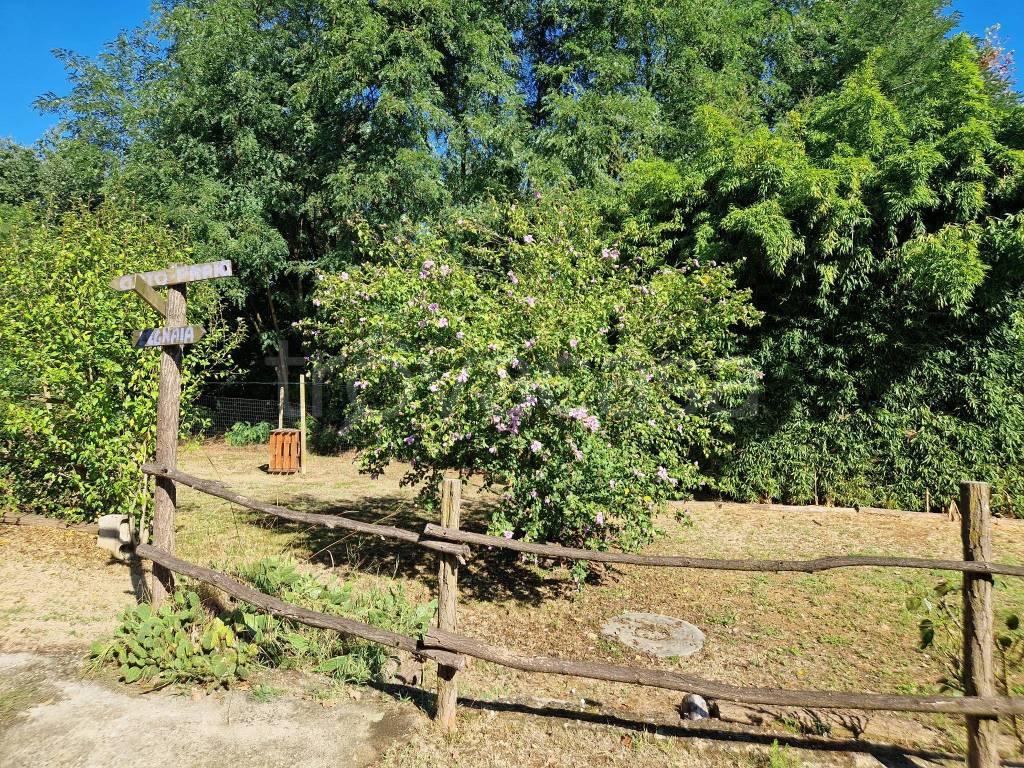 immagine annuncio 9 di 15