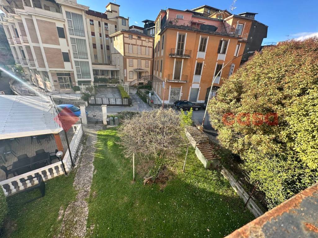 immagine annuncio 5 di 14
