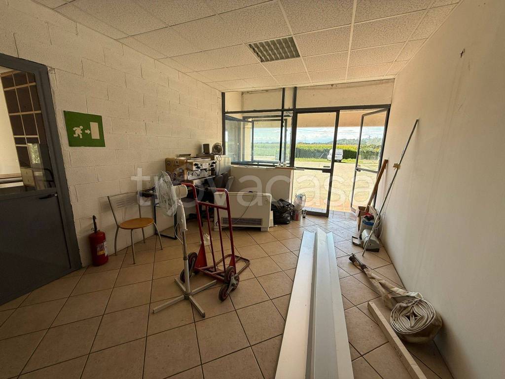 immagine annuncio 4 di 11
