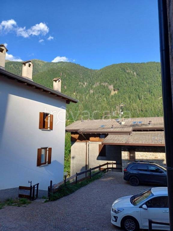 immagine annuncio 5 di 11