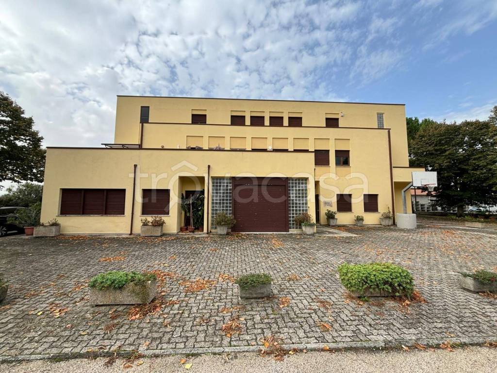 immagine annuncio 1 di 9