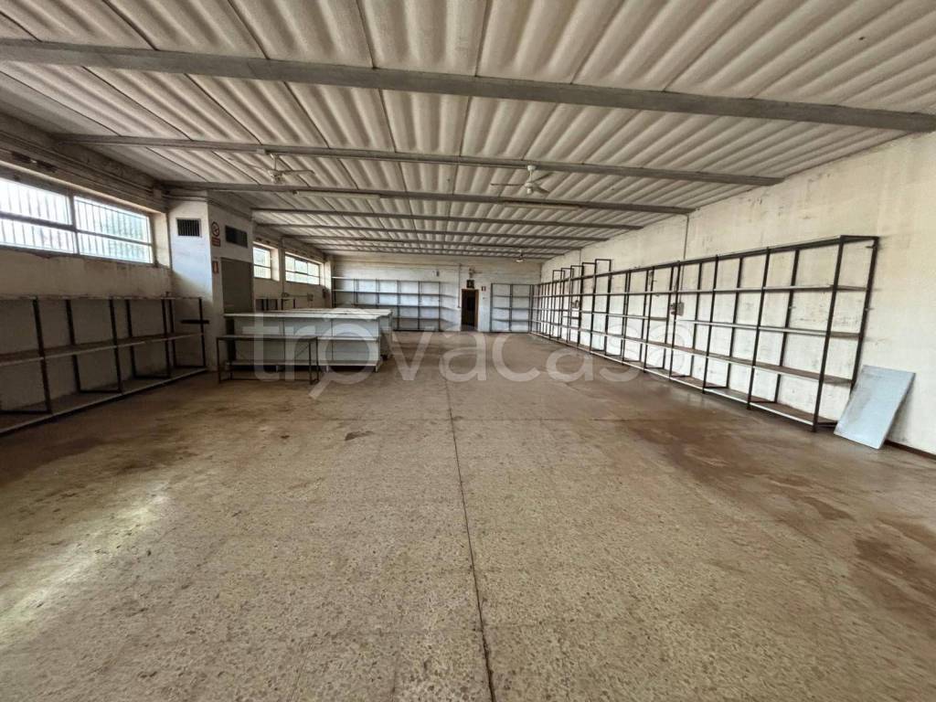 immagine annuncio 5 di 9