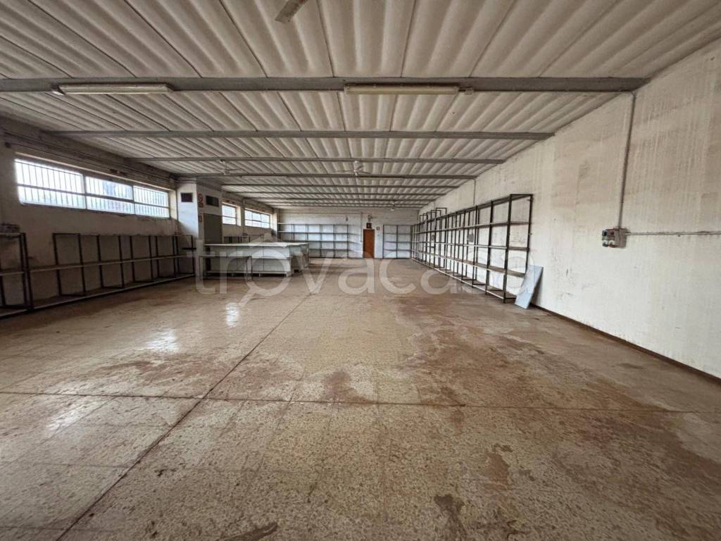 immagine annuncio 6 di 9