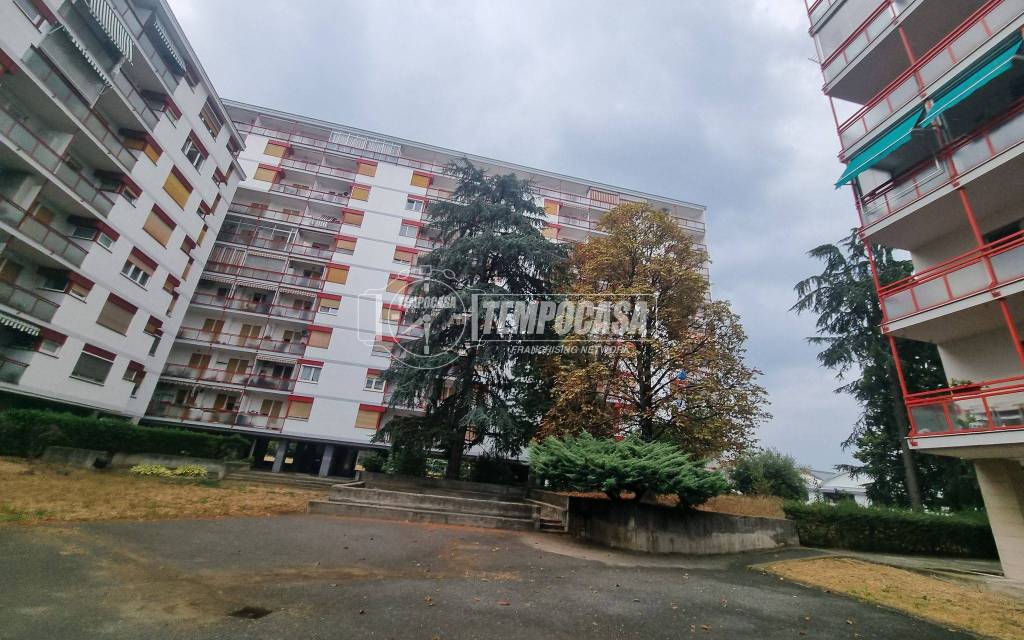 immagine annuncio 2 di 8