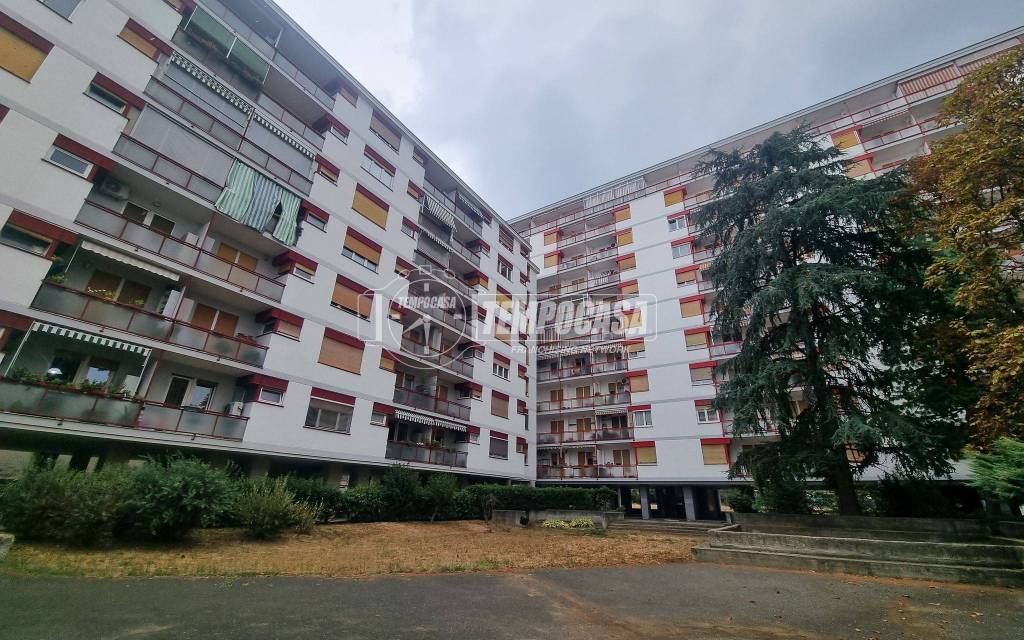 immagine annuncio 4 di 8