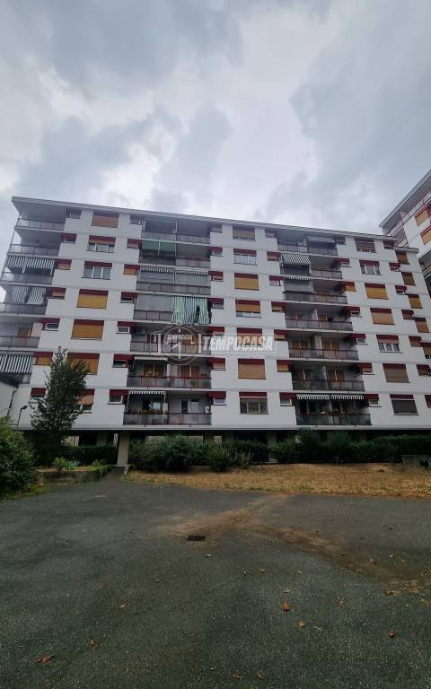 immagine annuncio 5 di 8