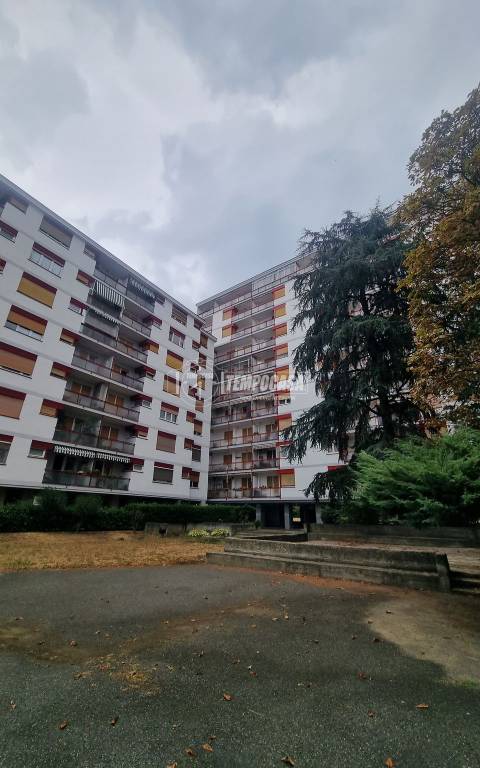 immagine annuncio 6 di 8