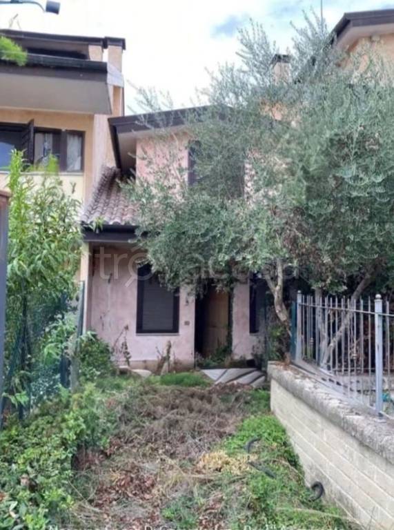 immagine annuncio 3 di 11