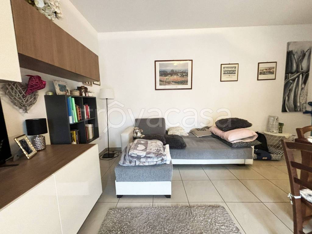 immagine annuncio 5 di 15