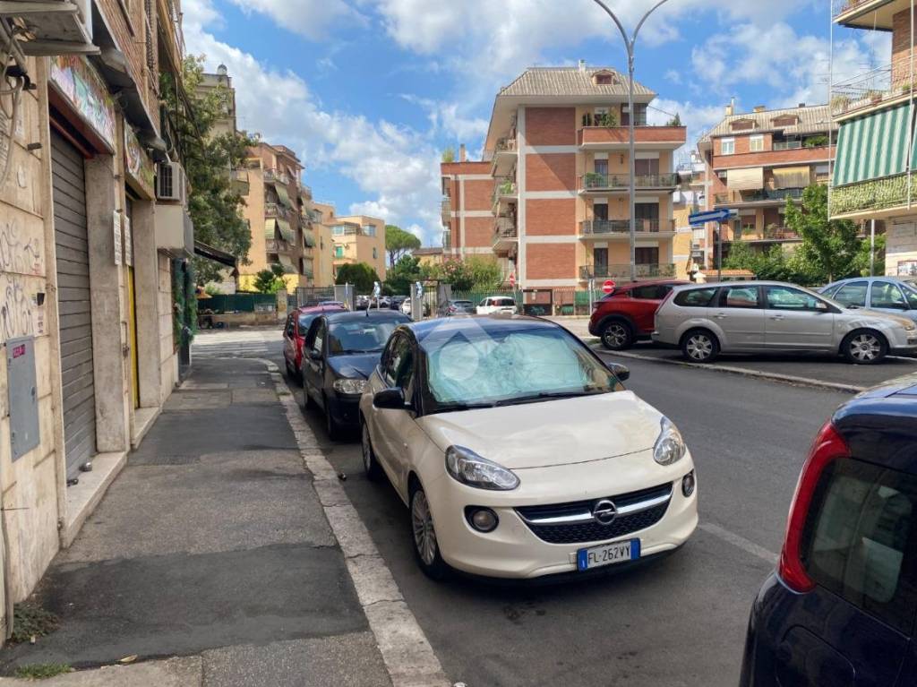 immagine annuncio 9 di 11