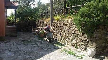 immagine annuncio 6 di 7