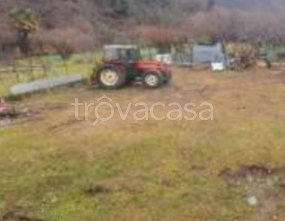 immagine annuncio 8 di 11