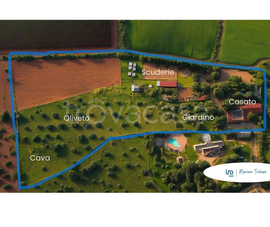 immagine annuncio 1 di 12