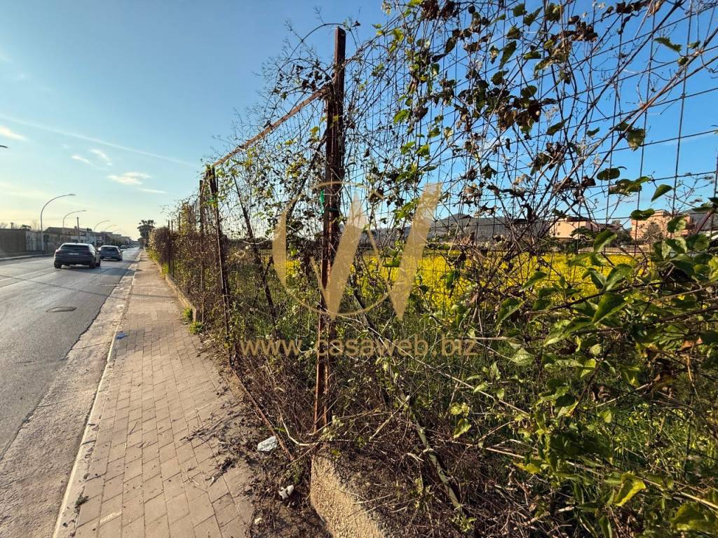 immagine annuncio 6 di 14