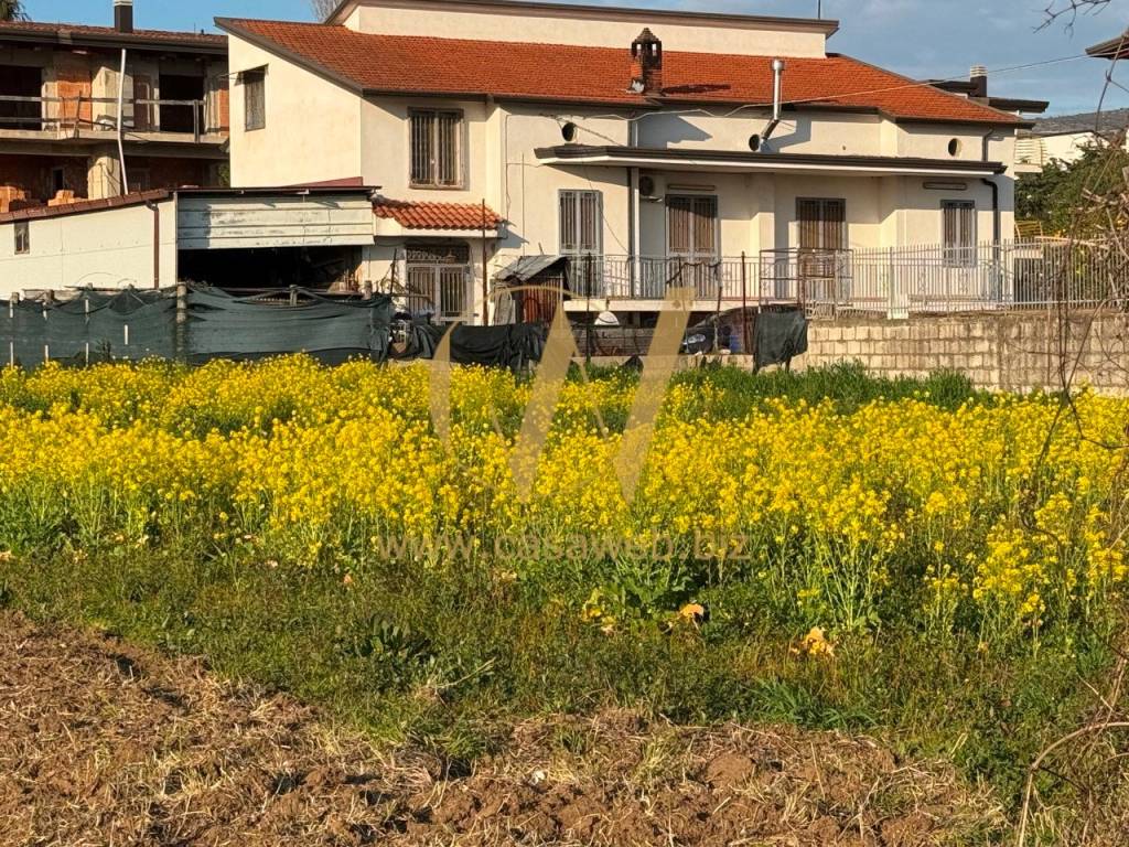 immagine annuncio 7 di 14