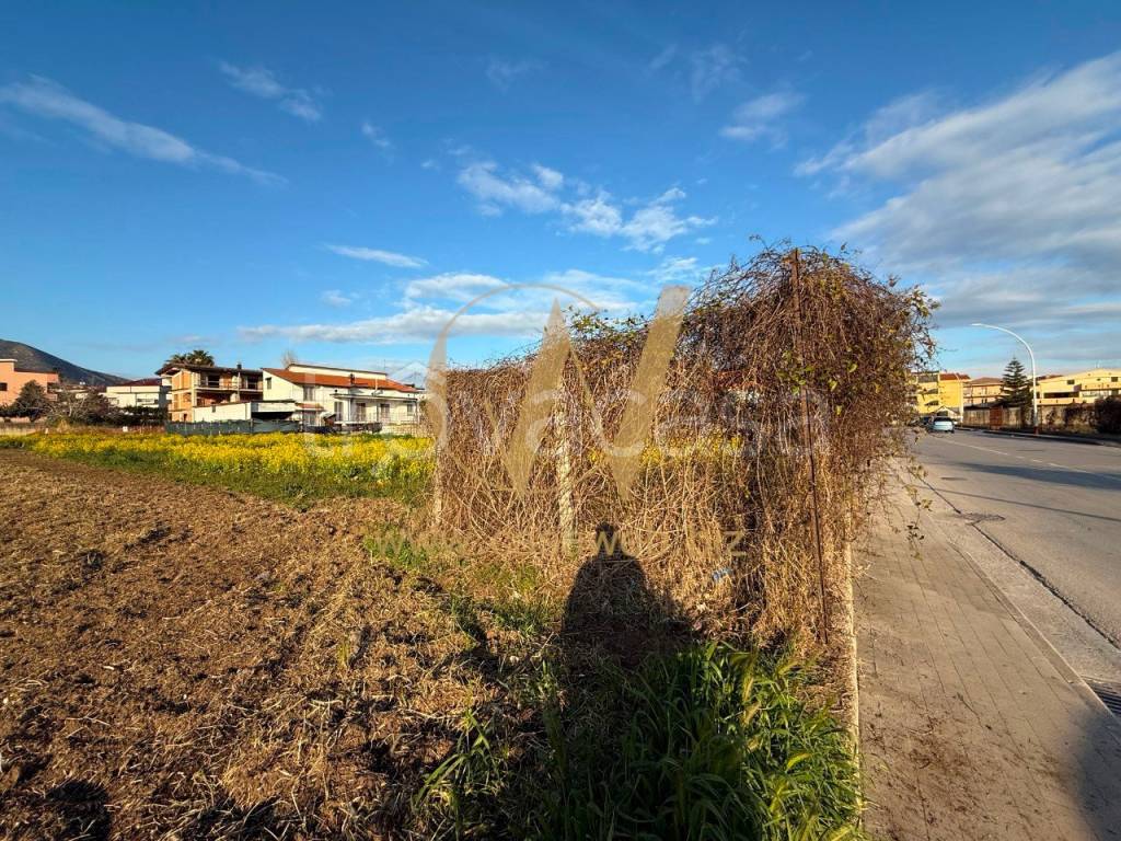 immagine annuncio 8 di 14