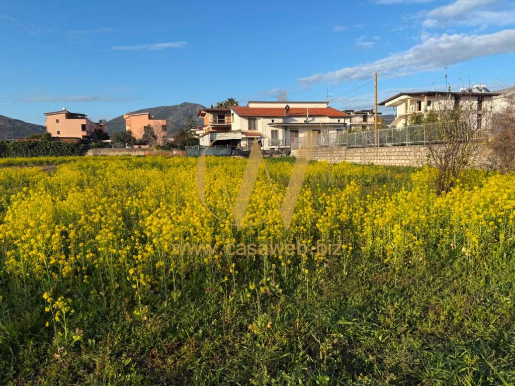 immagine annuncio 10 di 14