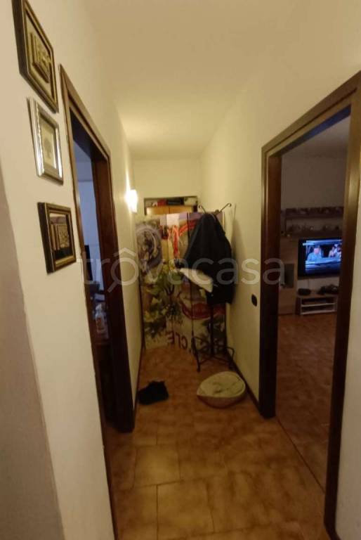 immagine annuncio 7 di 14