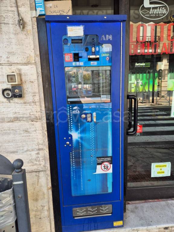 immagine annuncio 5 di 15