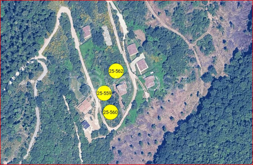 immagine annuncio 11 di 12