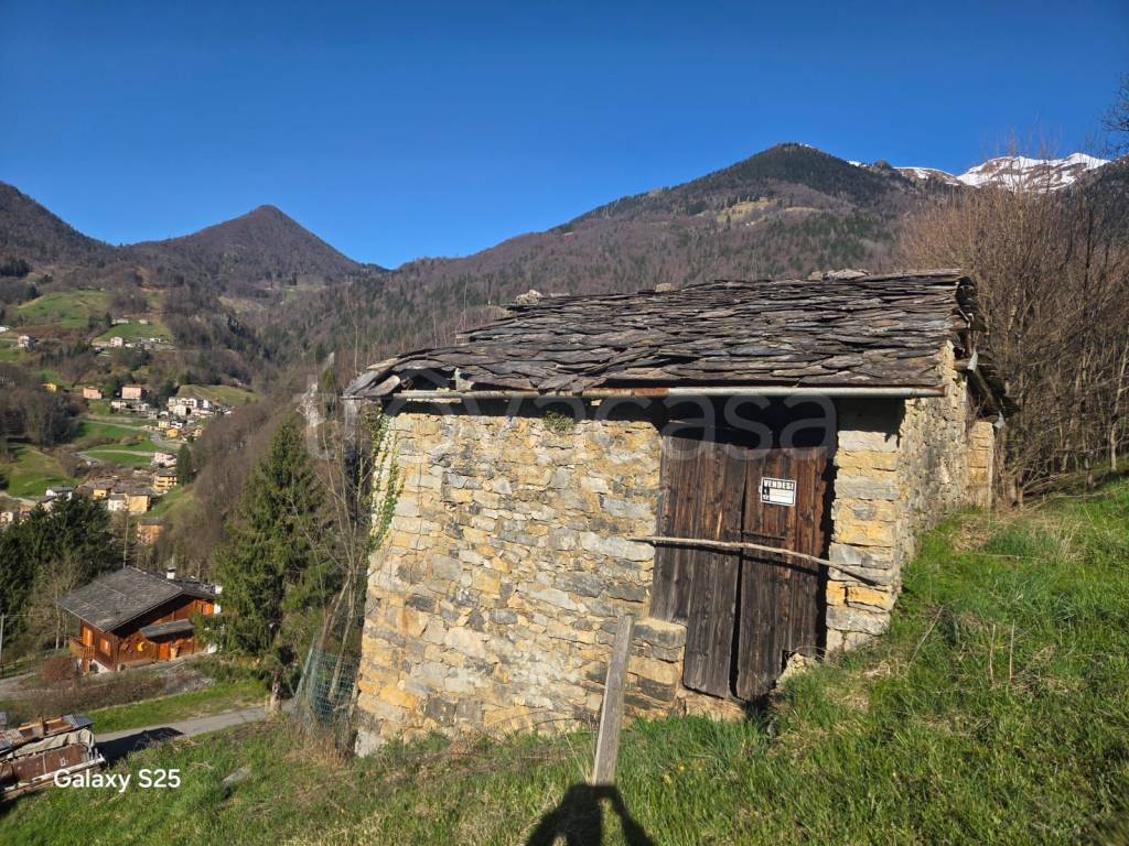 immagine annuncio 8 di 15