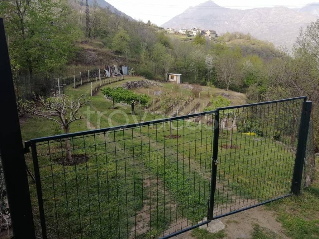 immagine annuncio 6 di 10