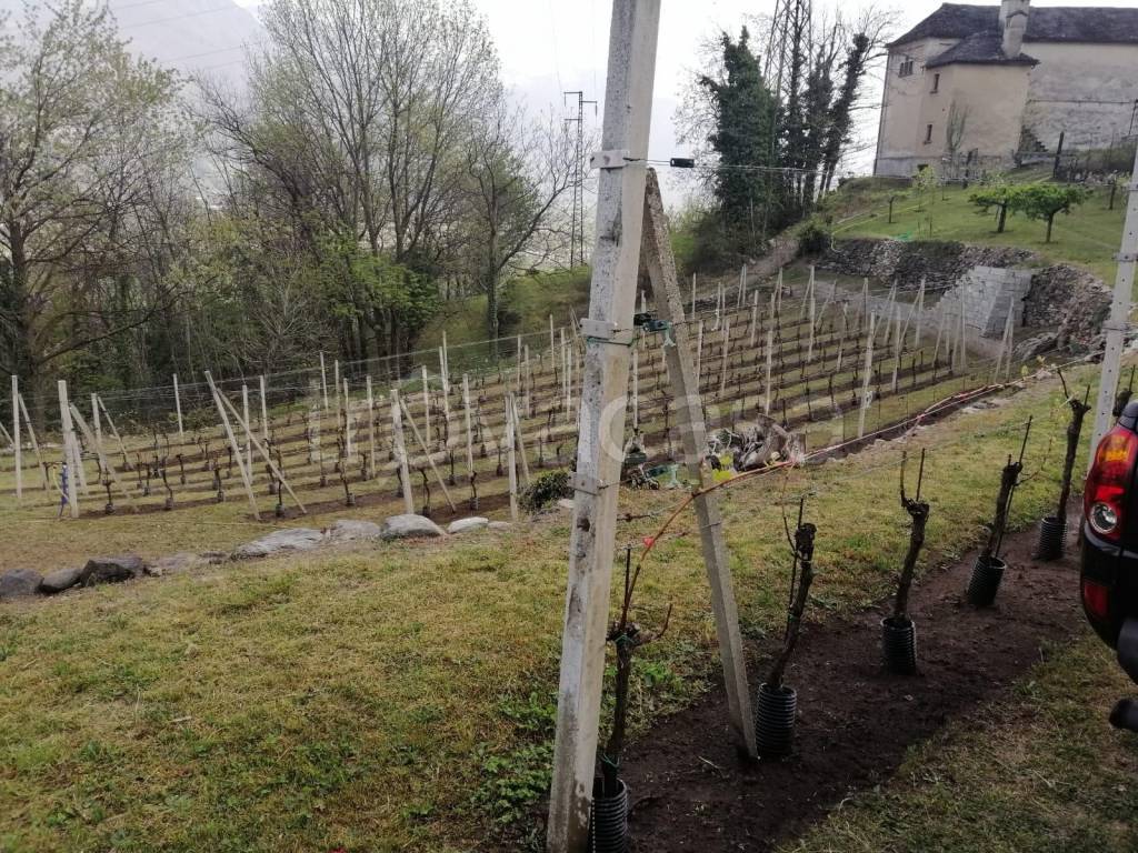 immagine annuncio 4 di 10