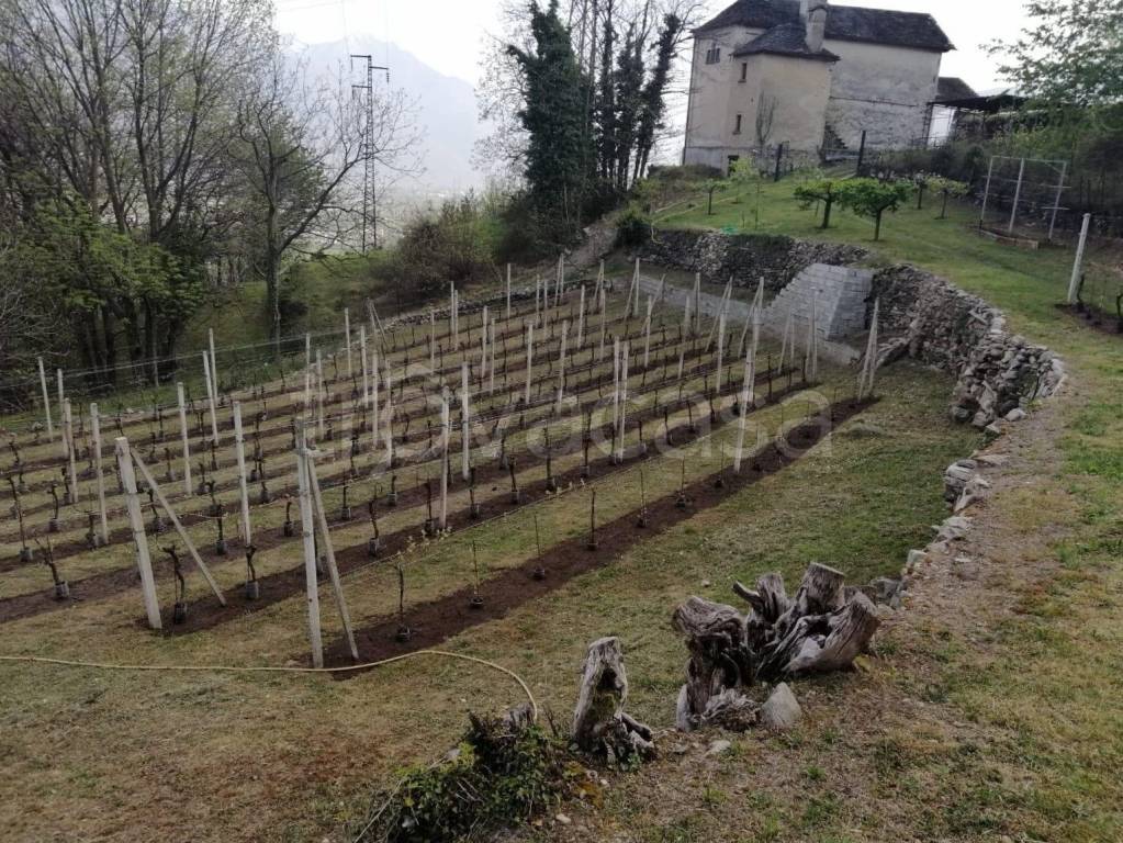 immagine annuncio 3 di 10