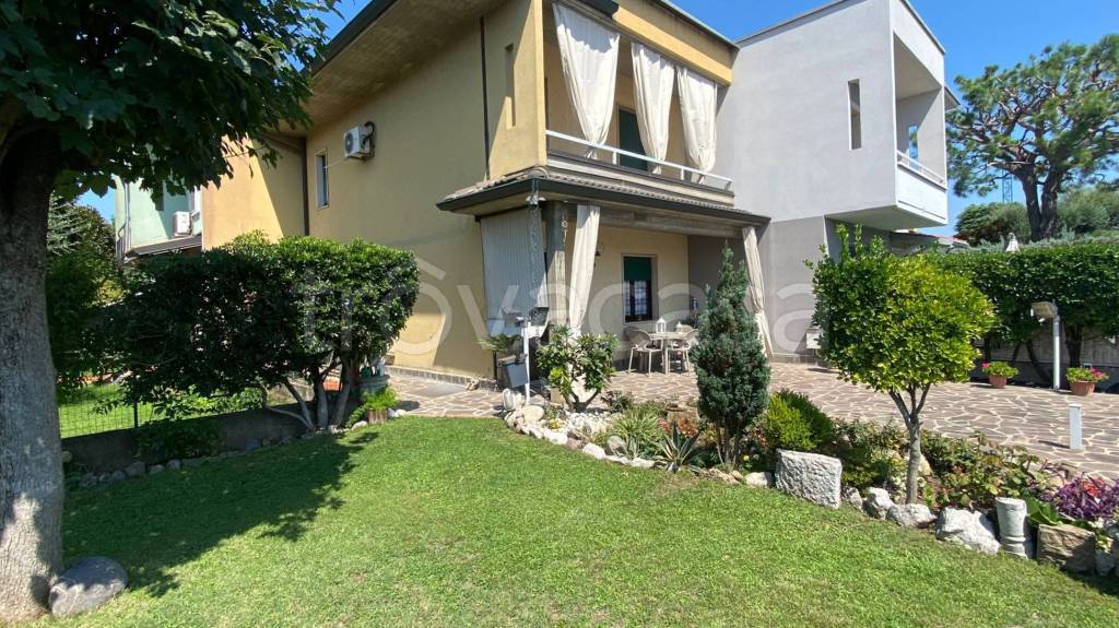 immagine annuncio 11 di 15