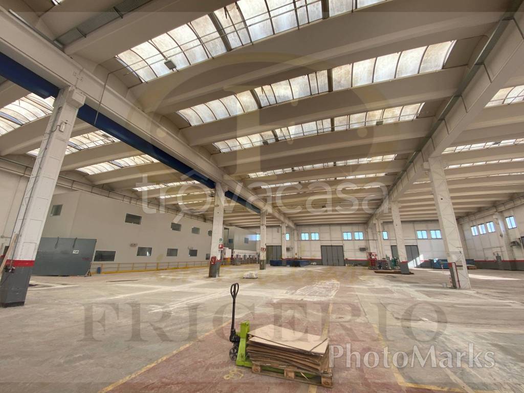 immagine annuncio 10 di 15