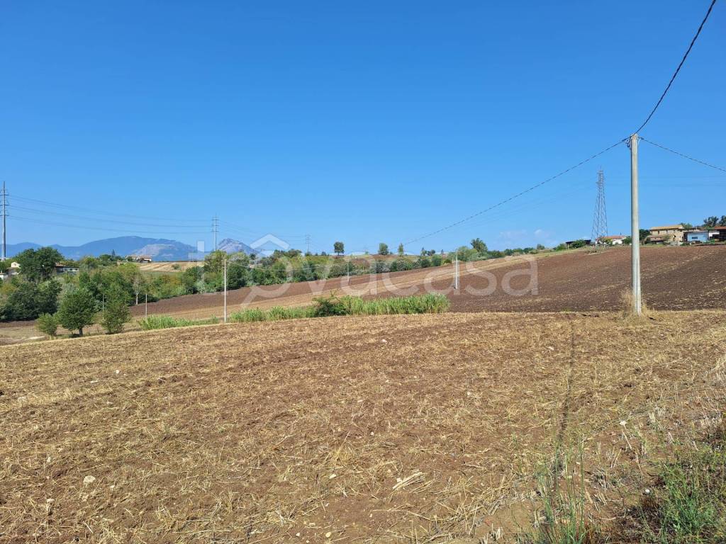 immagine annuncio 3 di 6