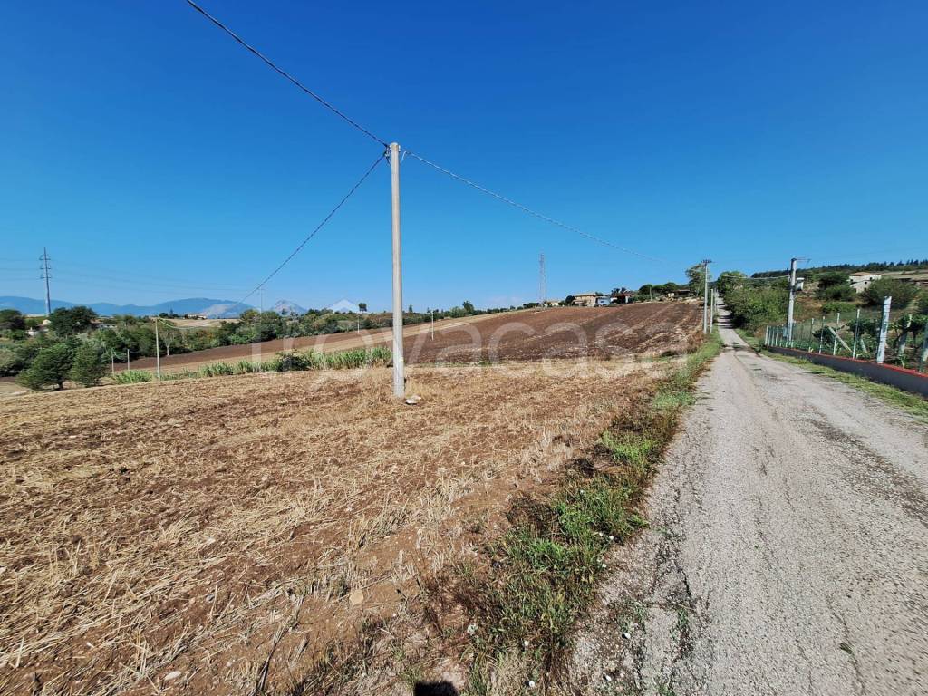 immagine annuncio 5 di 6