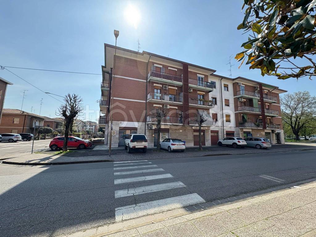 immagine annuncio 1 di 13