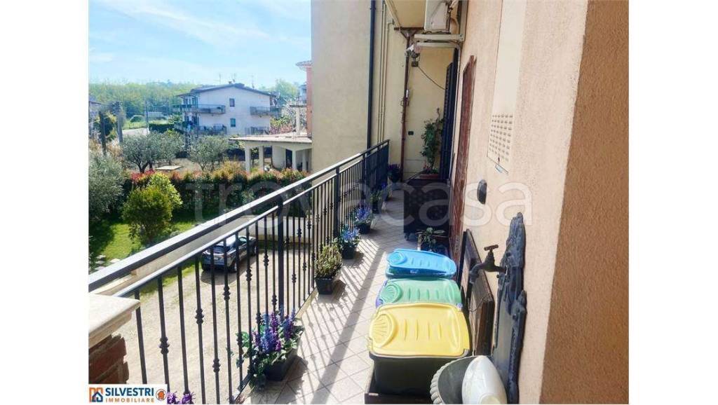 immagine annuncio 11 di 15