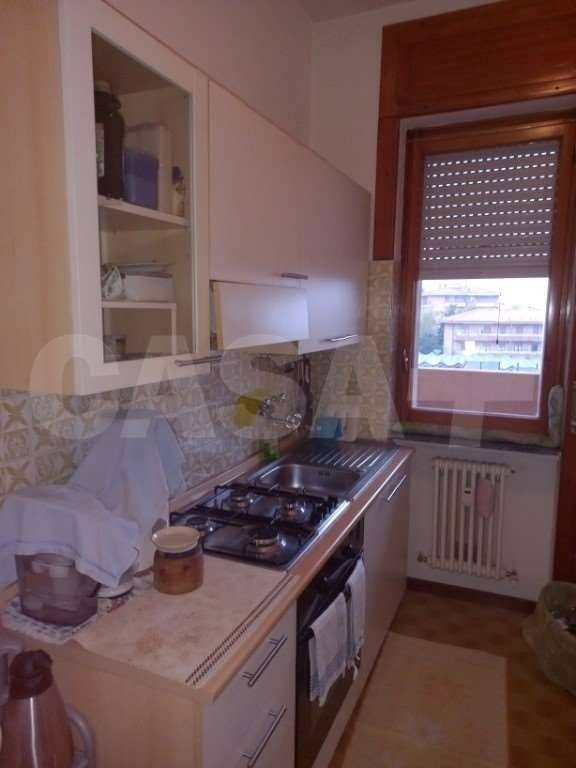 immagine annuncio 5 di 12