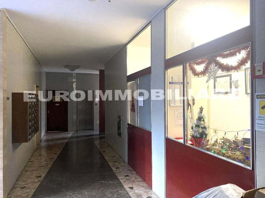 immagine annuncio 12 di 14