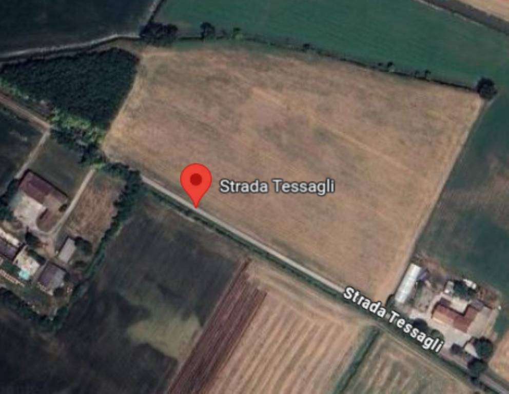 immagine annuncio 6 di 11