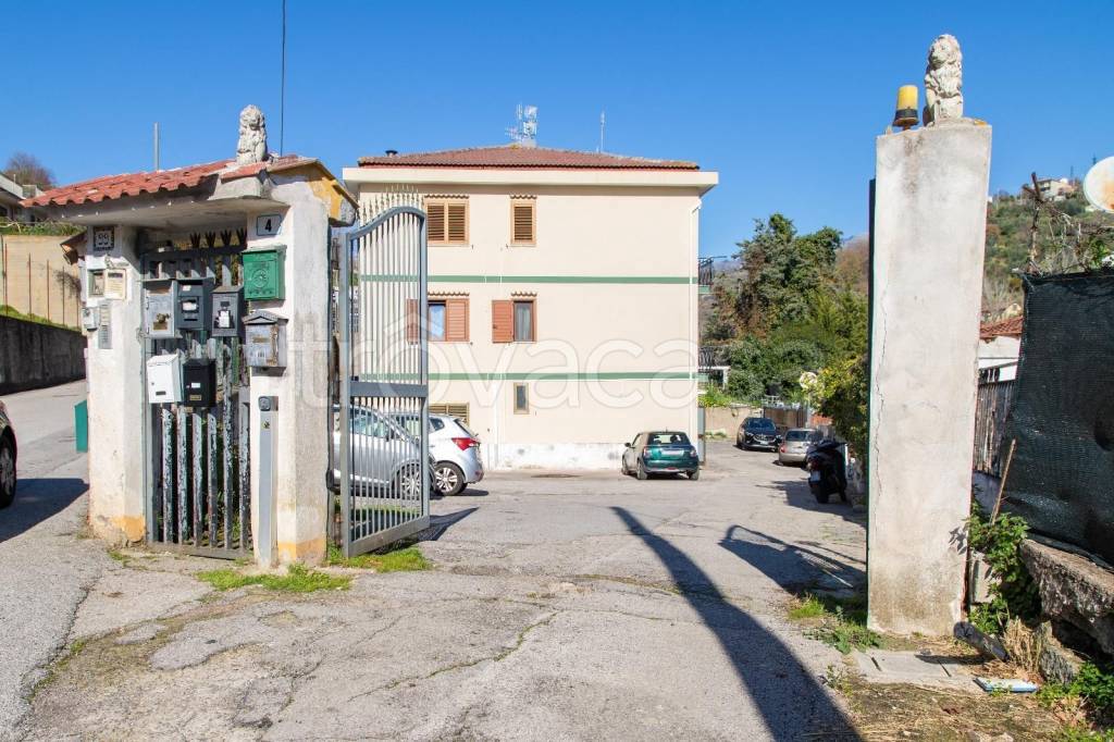 immagine annuncio 11 di 12