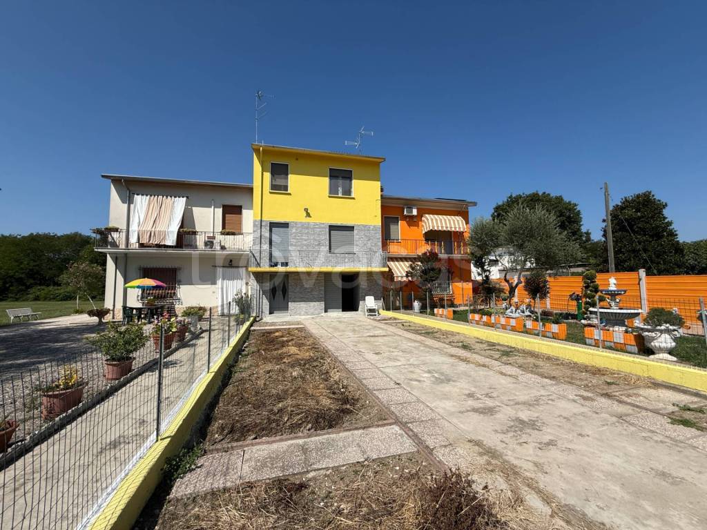 immagine annuncio 1 di 15