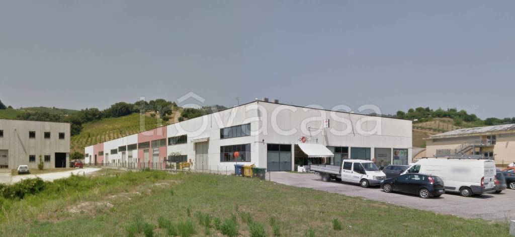 immagine annuncio 12 di 13