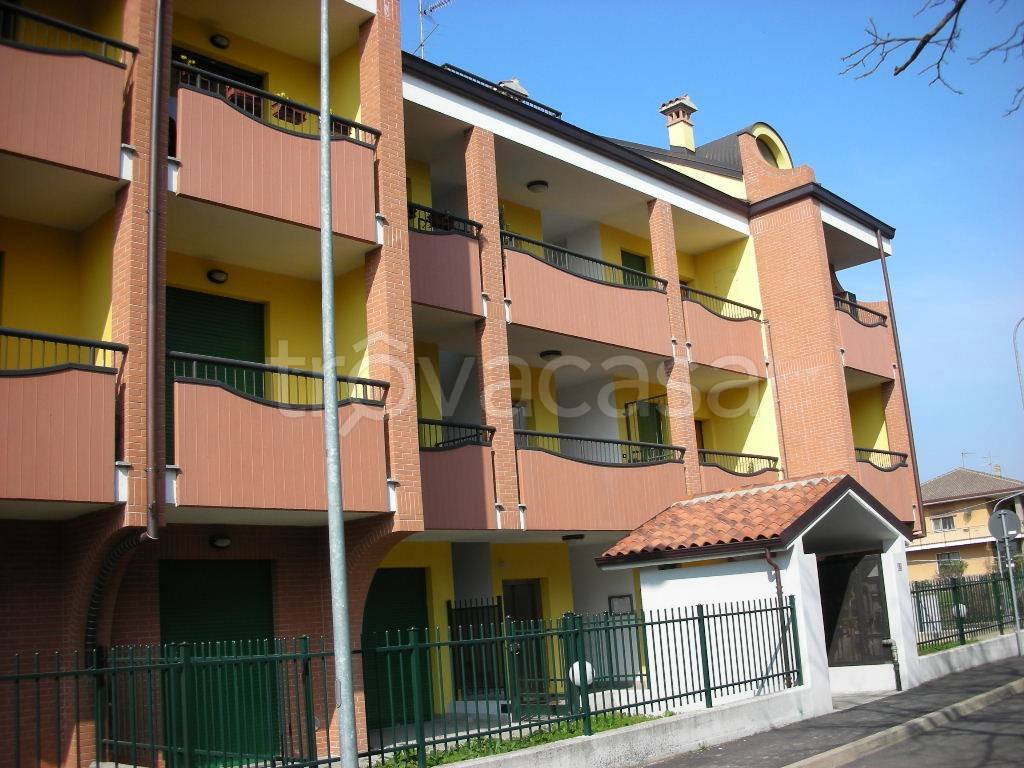 immagine annuncio 9 di 15