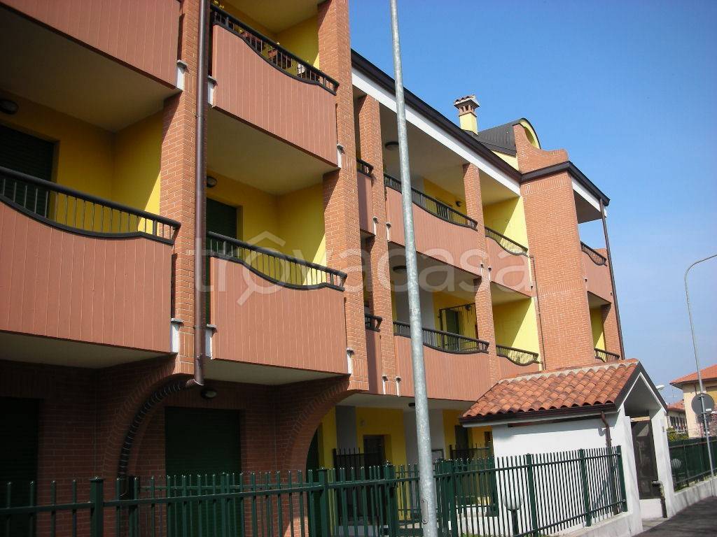 immagine annuncio 10 di 15