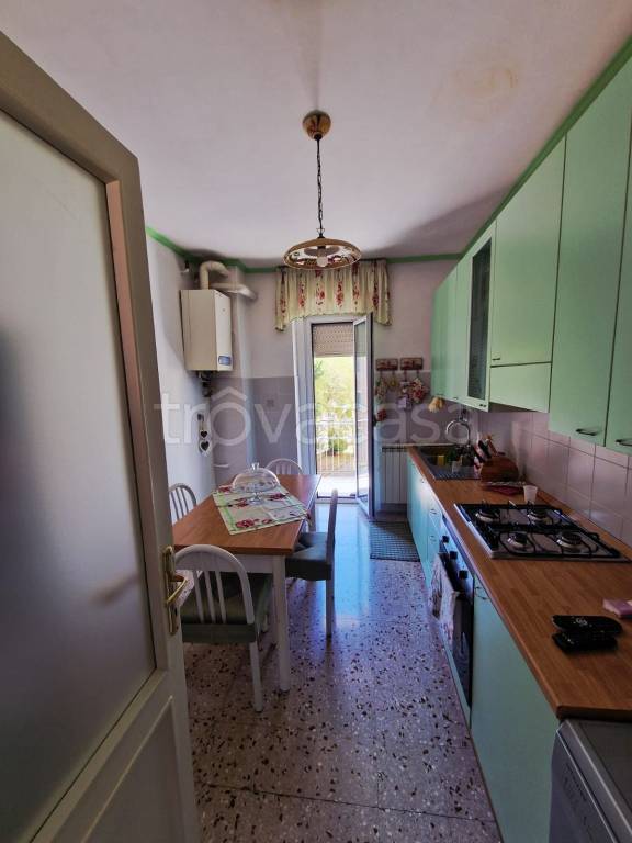 immagine annuncio 3 di 14
