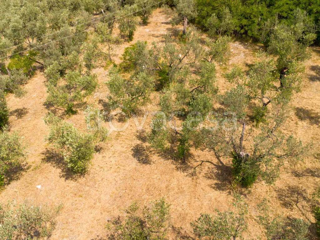 immagine annuncio 8 di 14