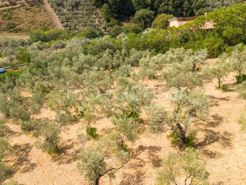 immagine annuncio 9 di 14