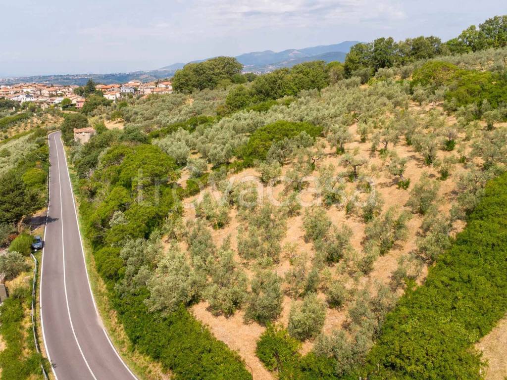 immagine annuncio 11 di 14