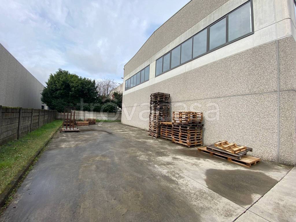 immagine annuncio 6 di 15