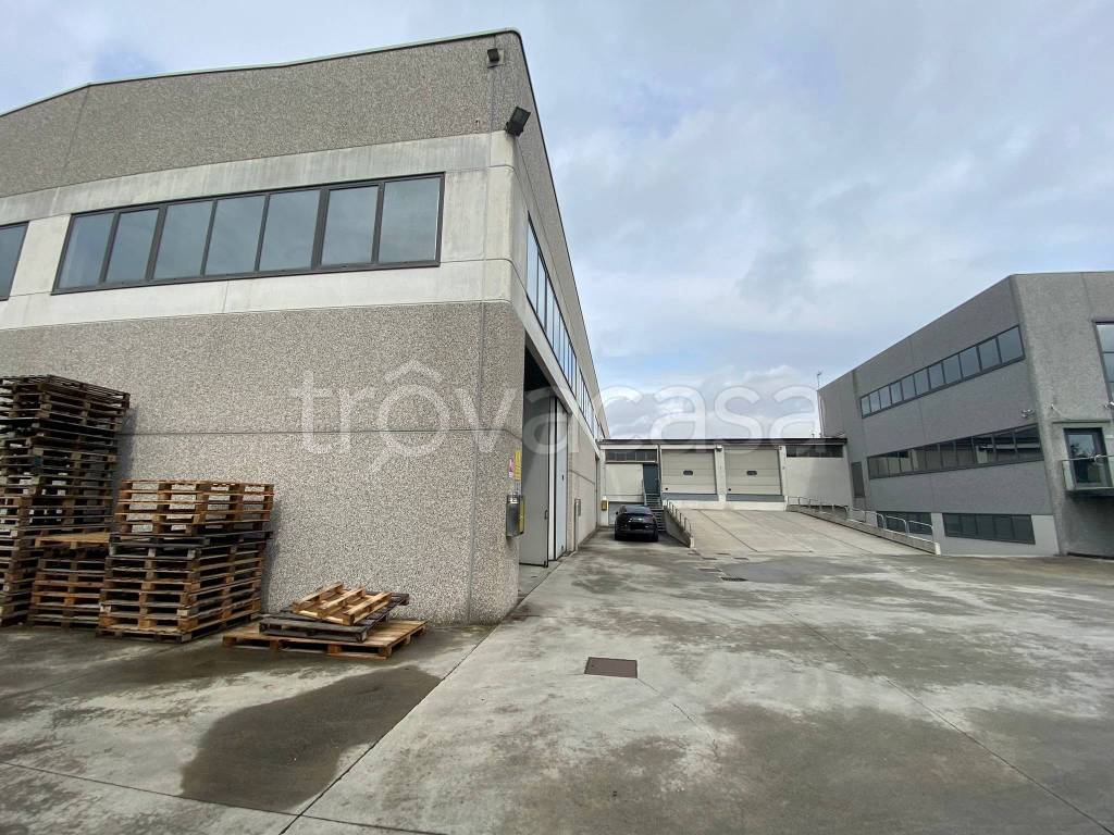 immagine annuncio 13 di 15