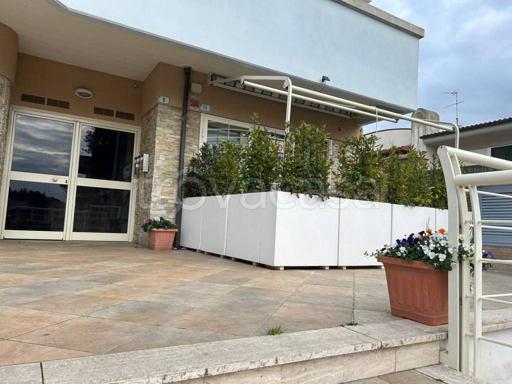 immagine annuncio 12 di 13