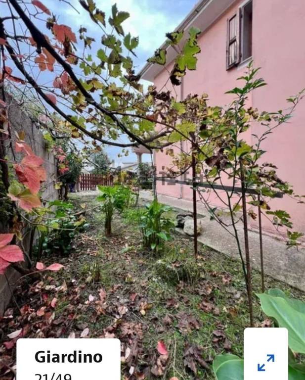 immagine annuncio 3 di 9